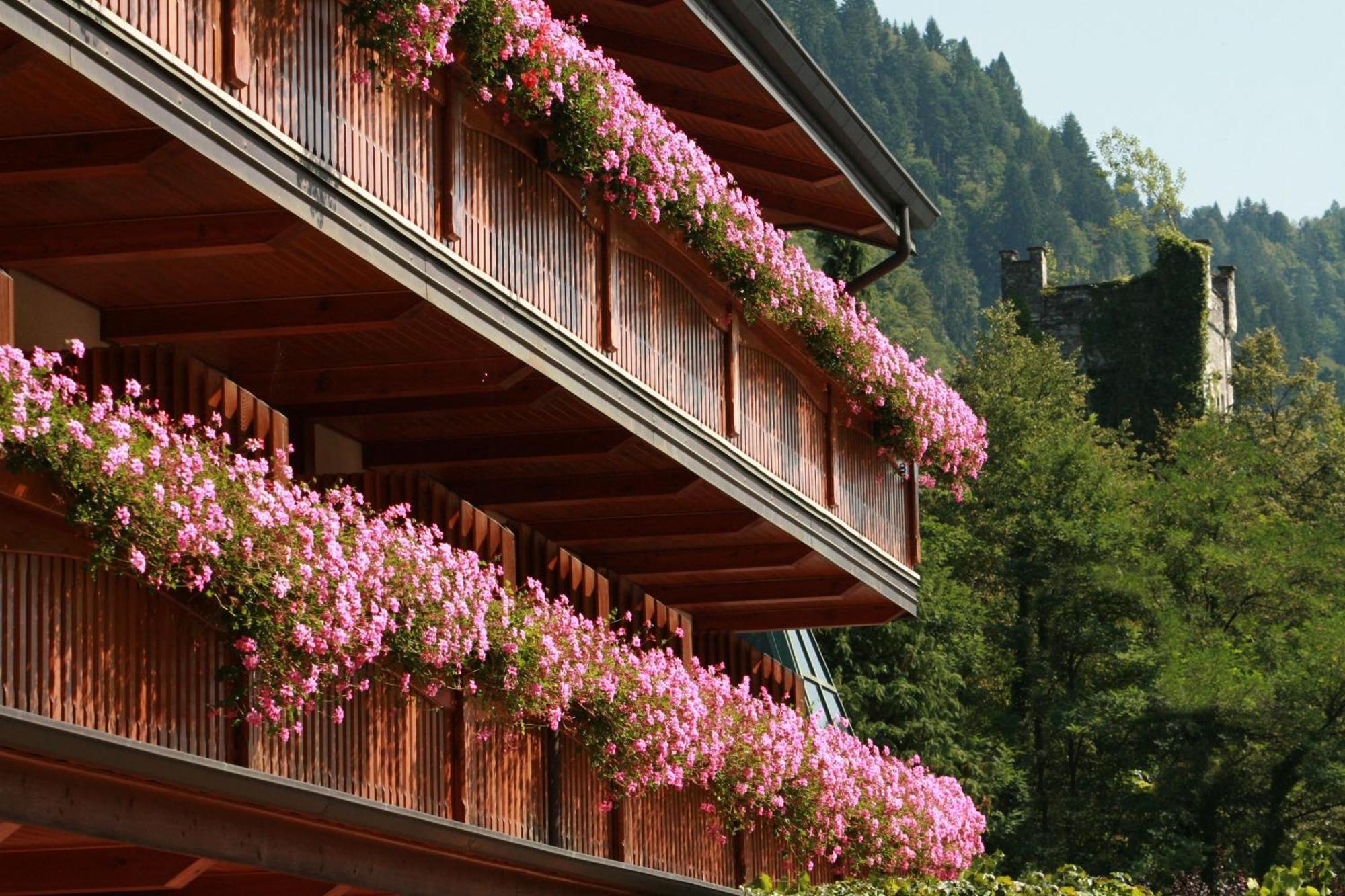Hotel Centro Benessere Gardel Arta Terme Eksteriør billede